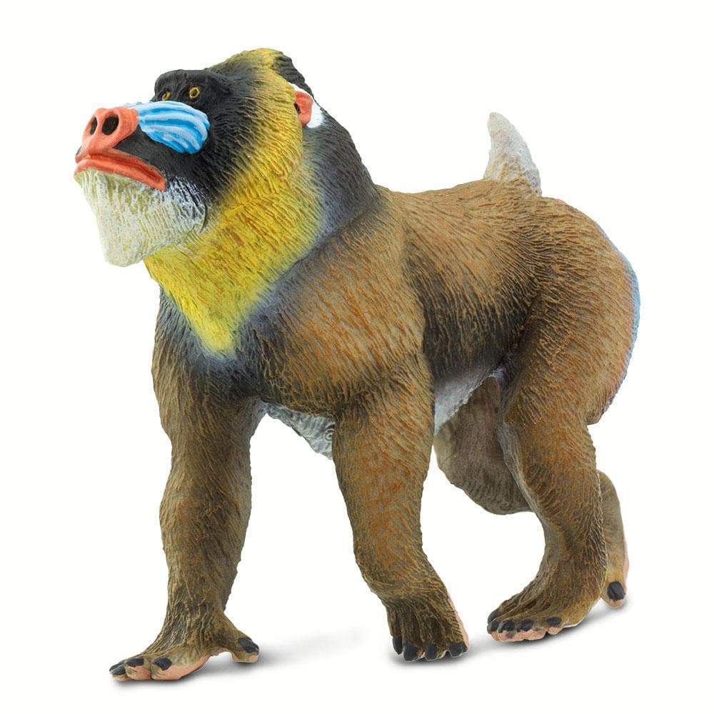 Mandrill - Safari Ltd®