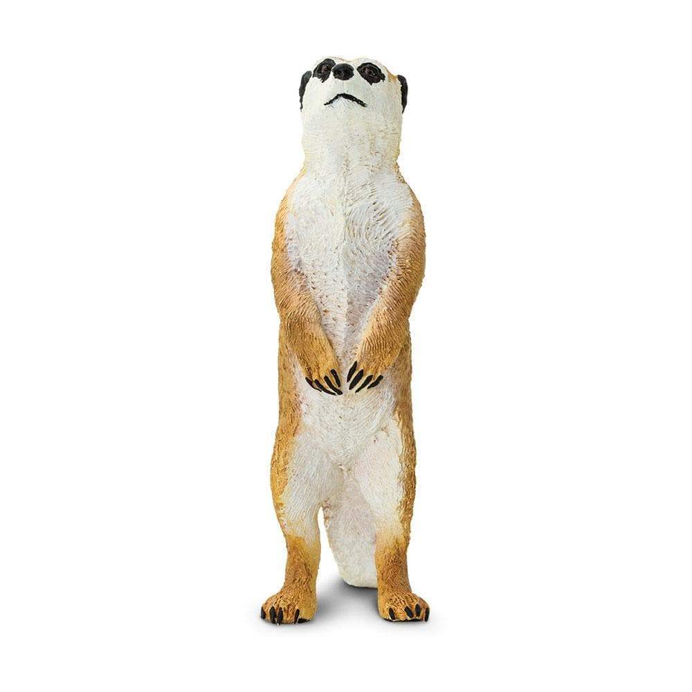 Meerkat Toy | Wildlife Animal Toys | Safari Ltd.