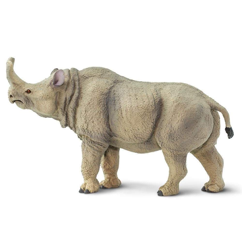 Megacerops Toy | Dinosaur Toys | Safari Ltd.