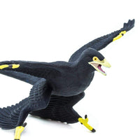 Microraptor Toy | Dinosaur Toys | Safari Ltd.