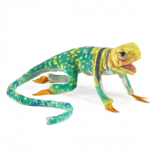 Mini Collared Lizard Puppet - Safari Ltd®