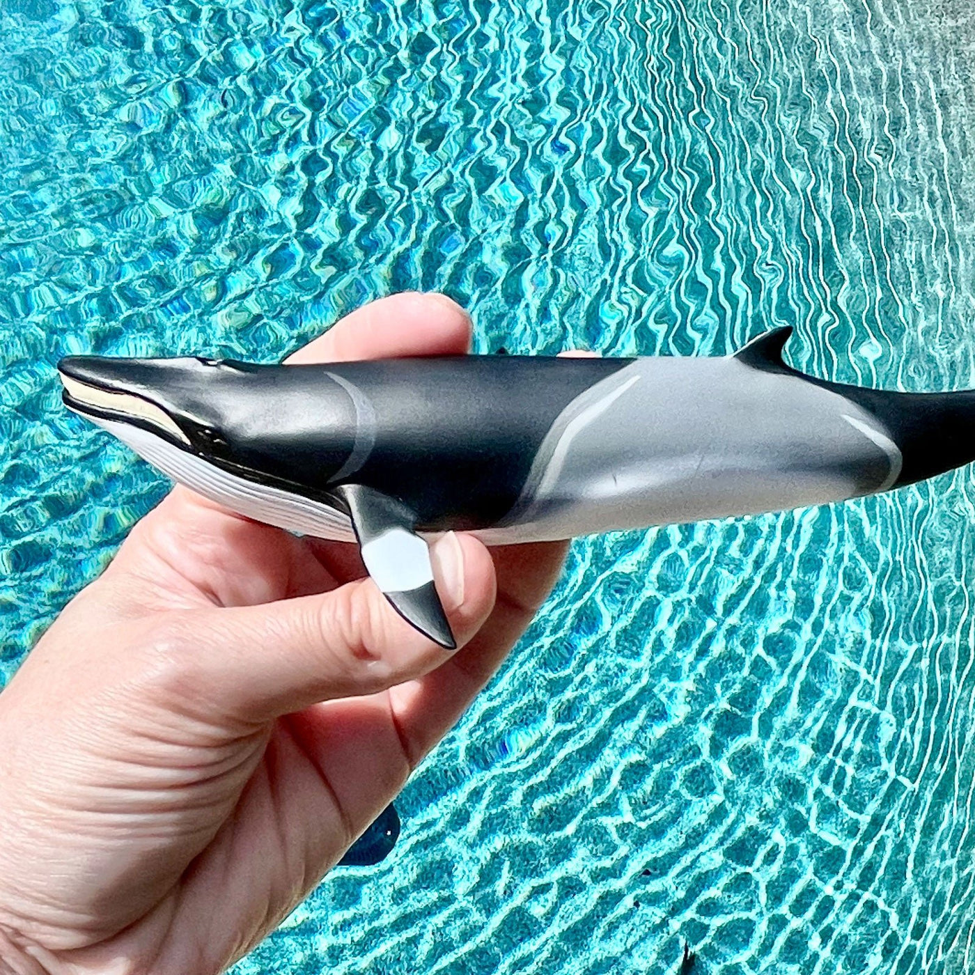 Minke Whale Sea Life Toy Figure - Safari Ltd®