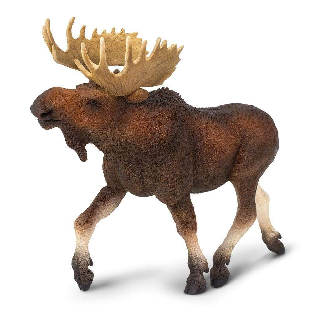 Moose Toy | Wildlife Animal Toys | Safari Ltd.