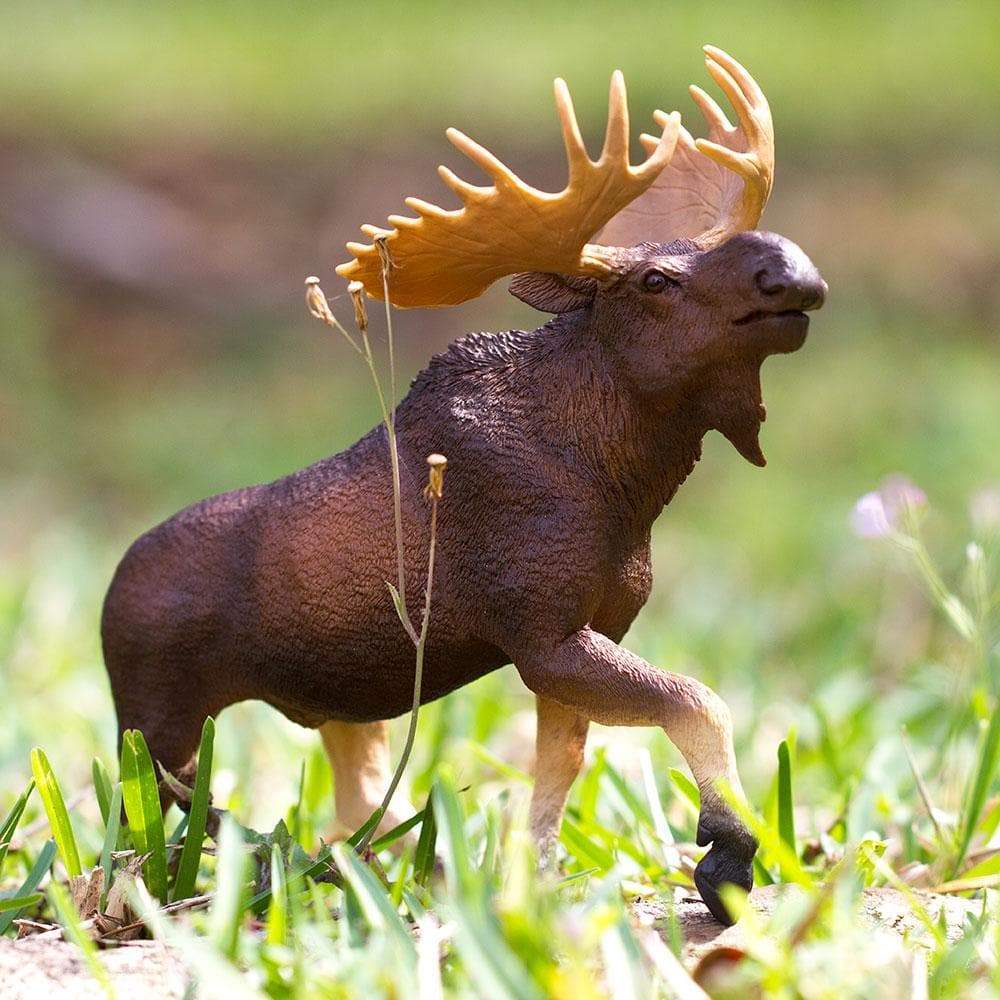 Moose Toy | Wildlife Animal Toys | Safari Ltd.