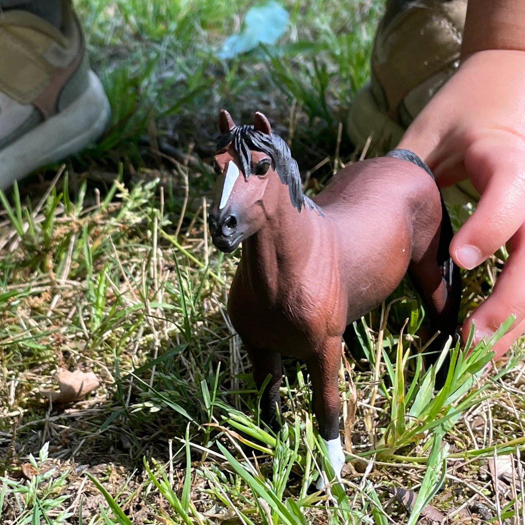 Morgan Stallion Toy - Safari Ltd®