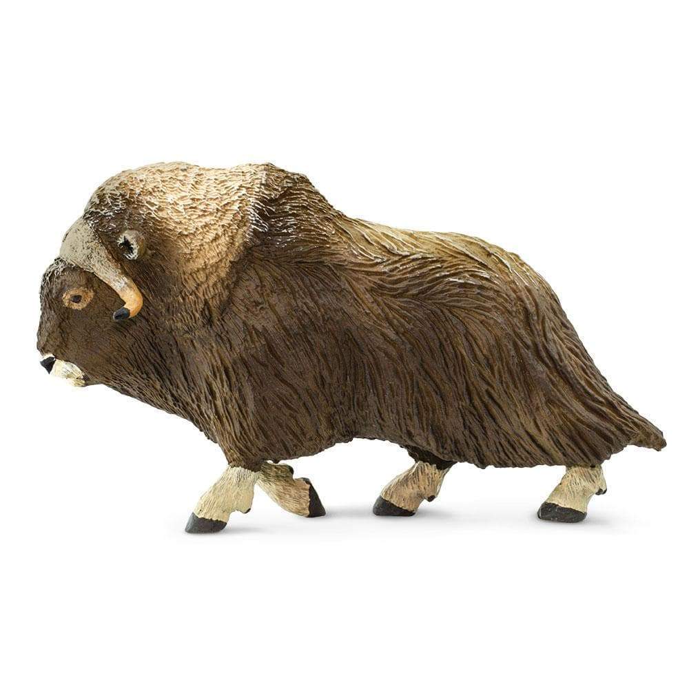 Muskox Toy | Wildlife Animal Toys | Safari Ltd.