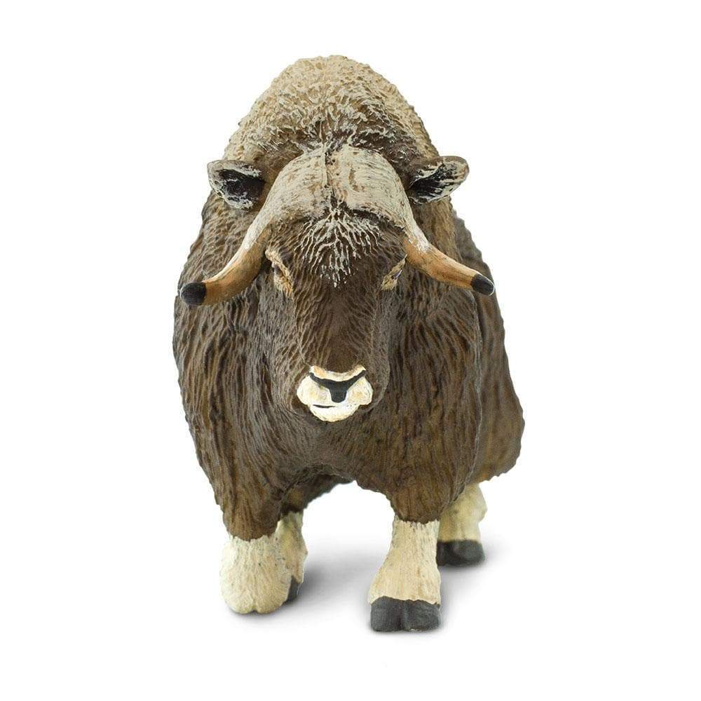 Muskox Toy | Wildlife Animal Toys | Safari Ltd.