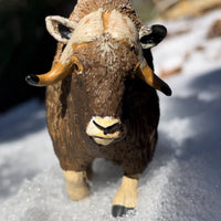 Muskox Toy - Safari Ltd®