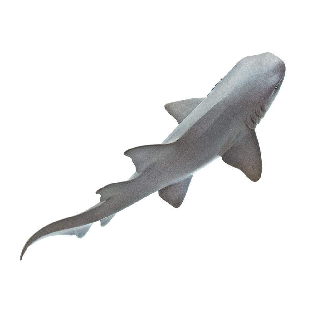 Nurse Shark Toy - Sea Life Toys by Safari Ltd.