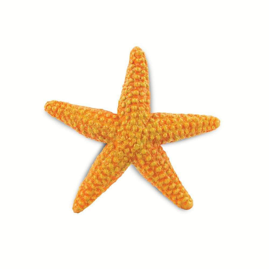 Orange Starfish Toy - Sea Life Toys by Safari Ltd.