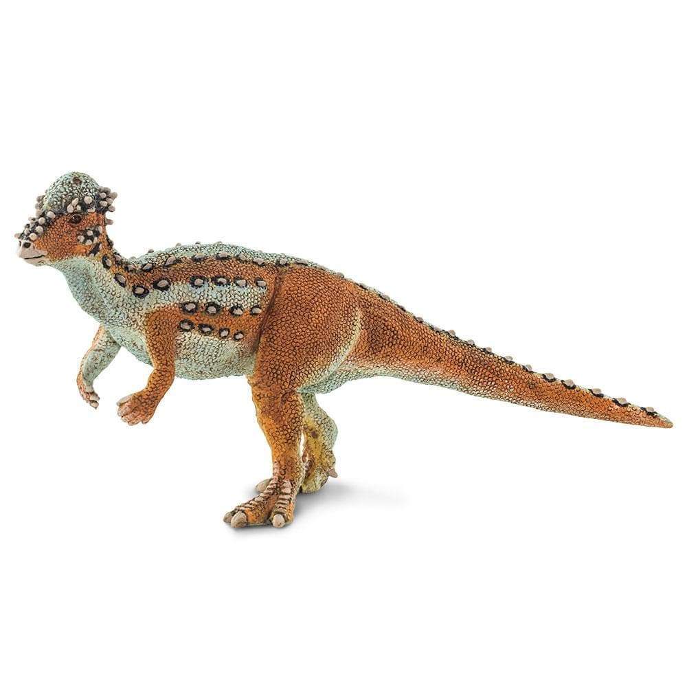 Pachycephalosaurus Toy | Dinosaur Toys | Safari Ltd.