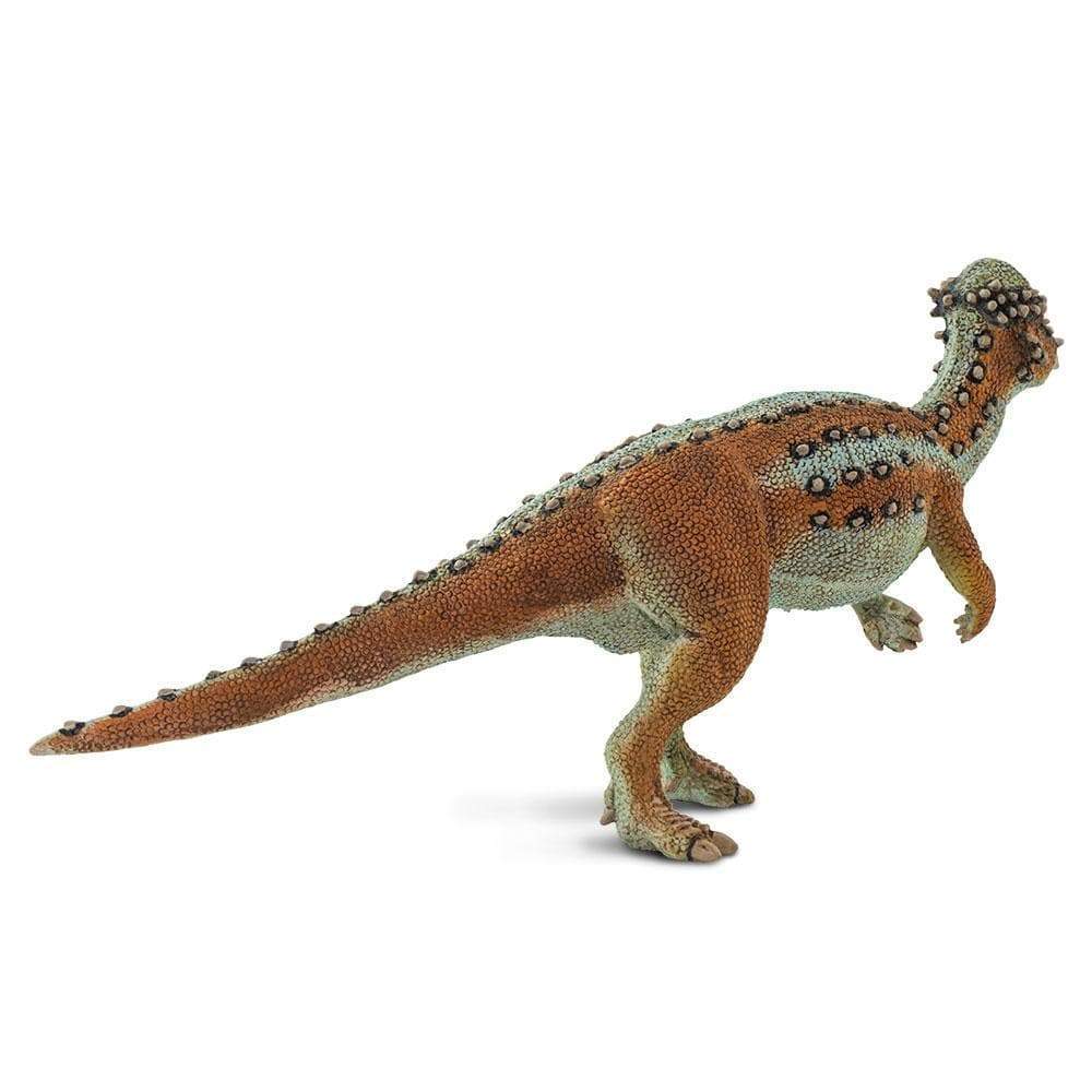 Pachycephalosaurus Toy | Dinosaur Toys | Safari Ltd.