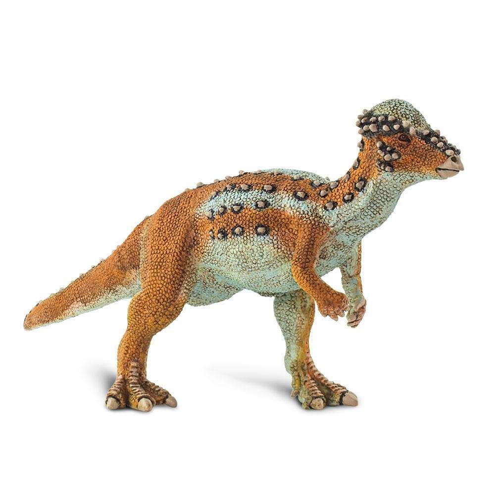 Pachycephalosaurus Toy | Dinosaur Toys | Safari Ltd.