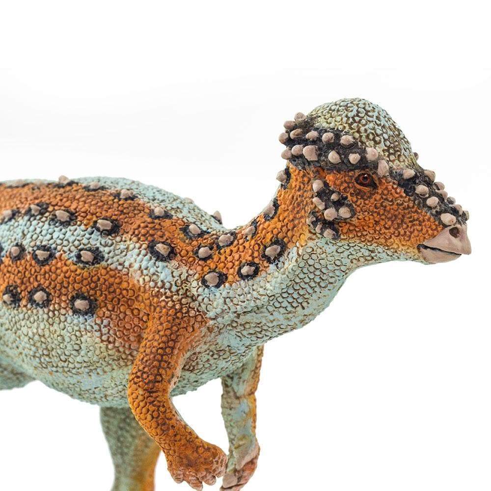 Pachycephalosaurus Toy | Dinosaur Toys | Safari Ltd.