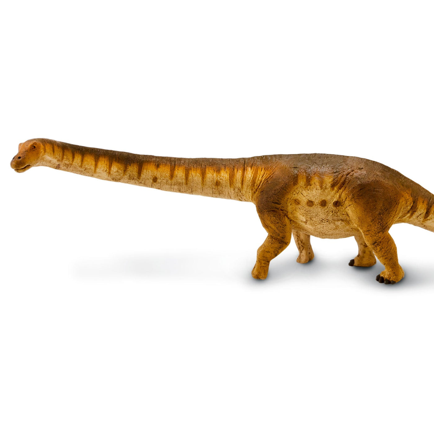 Patagotitan Toy Dinosaur Figure - Safari Ltd®