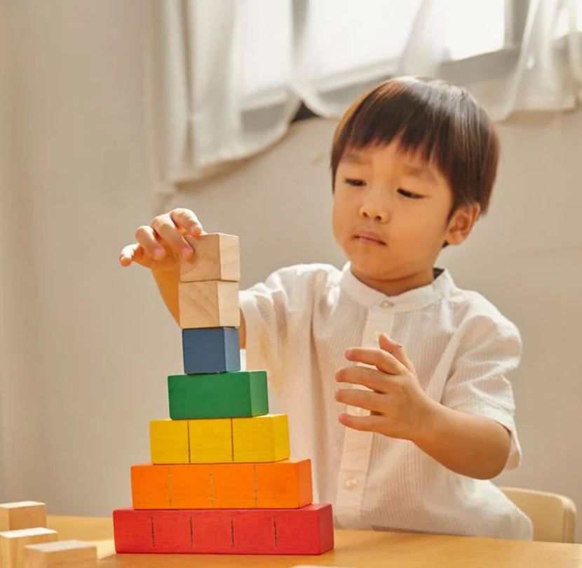 Plan Toys Colored Counting Blocks - Safari Ltd®