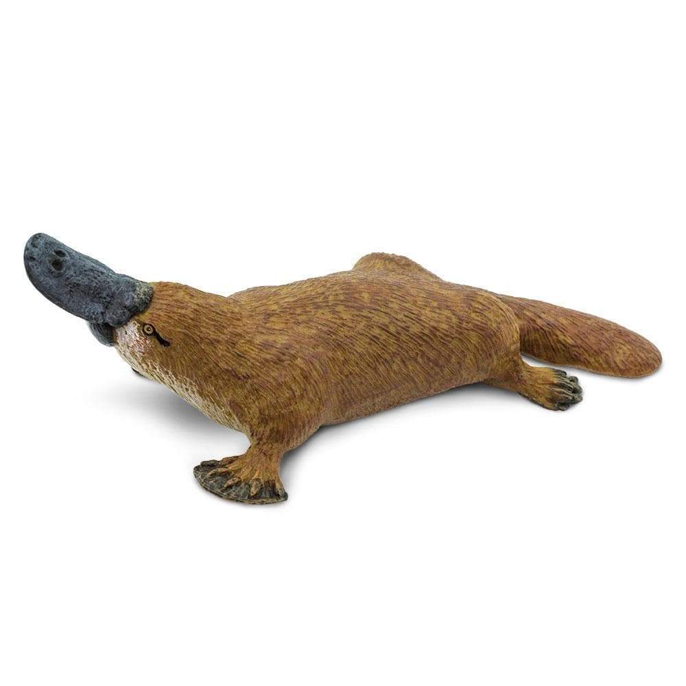 Platypus Toy | Wildlife Animal Toys | Safari Ltd.