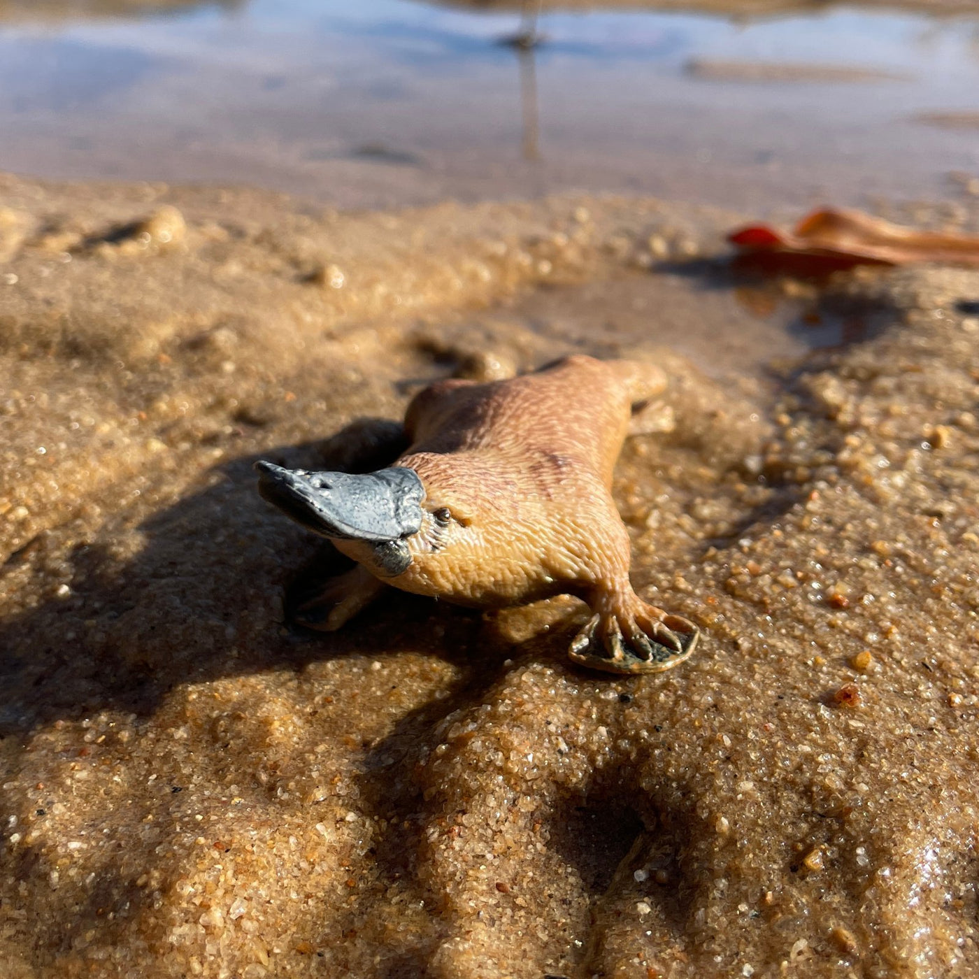 Platypus Toy - Safari Ltd®