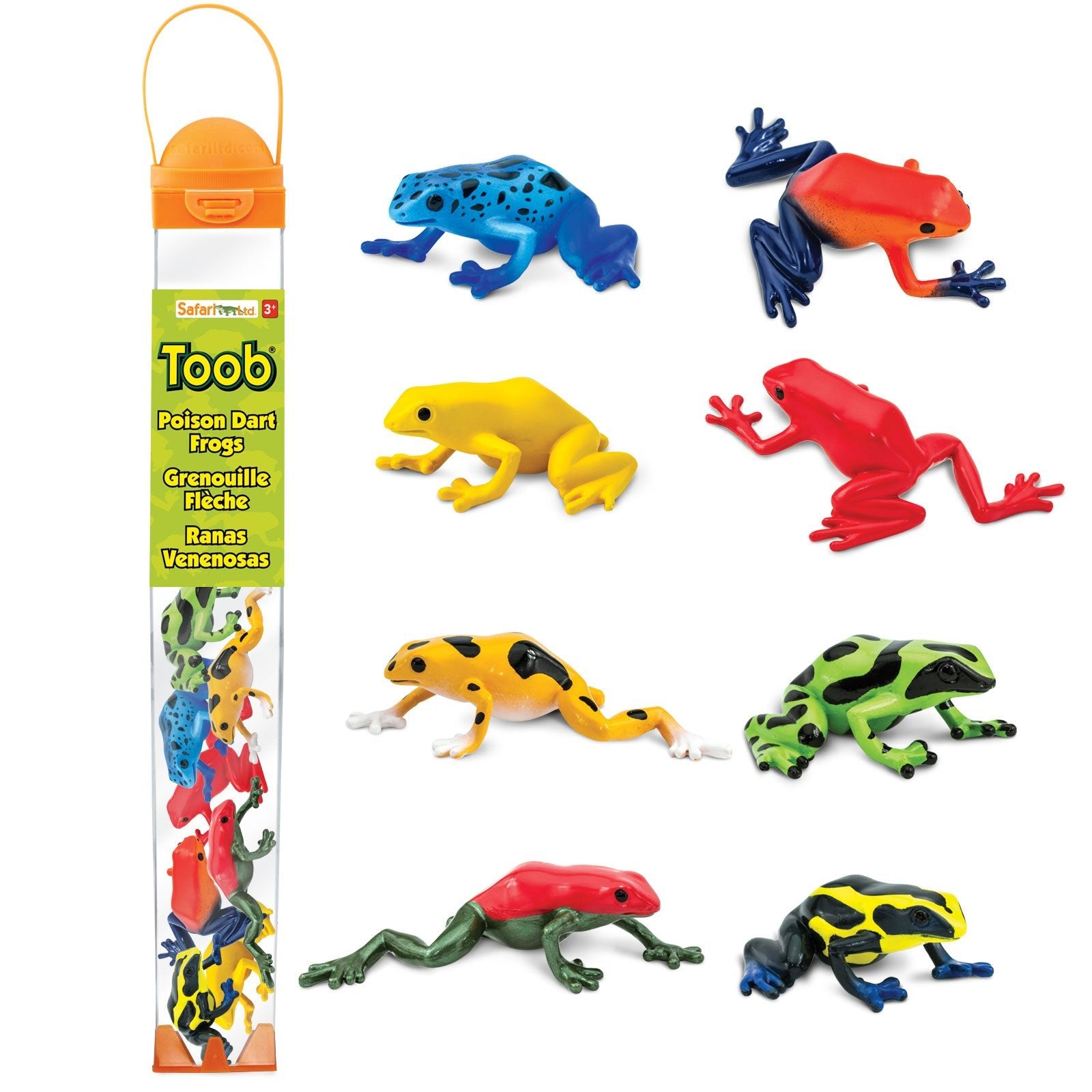 Poison Dart Frogs TOOB® - Safari Ltd®