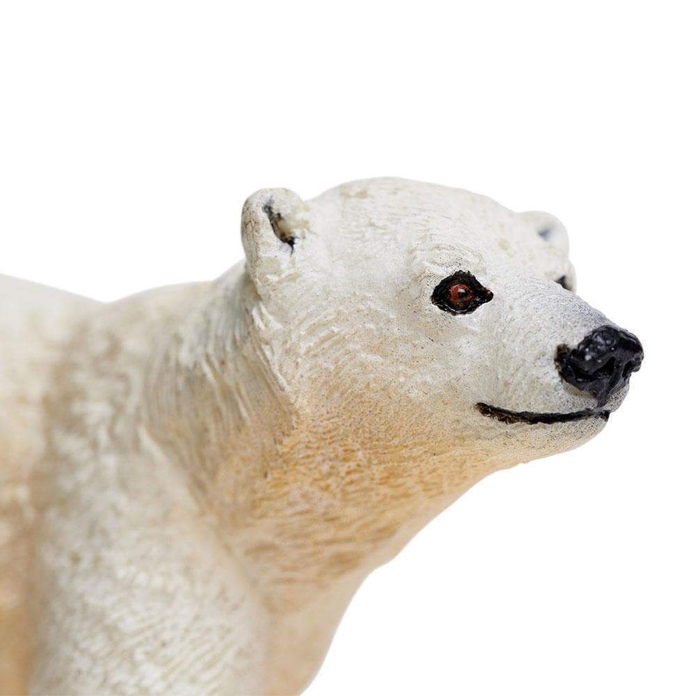 Polar Bear Cub Toy - Sea Life Toys by Safari Ltd.