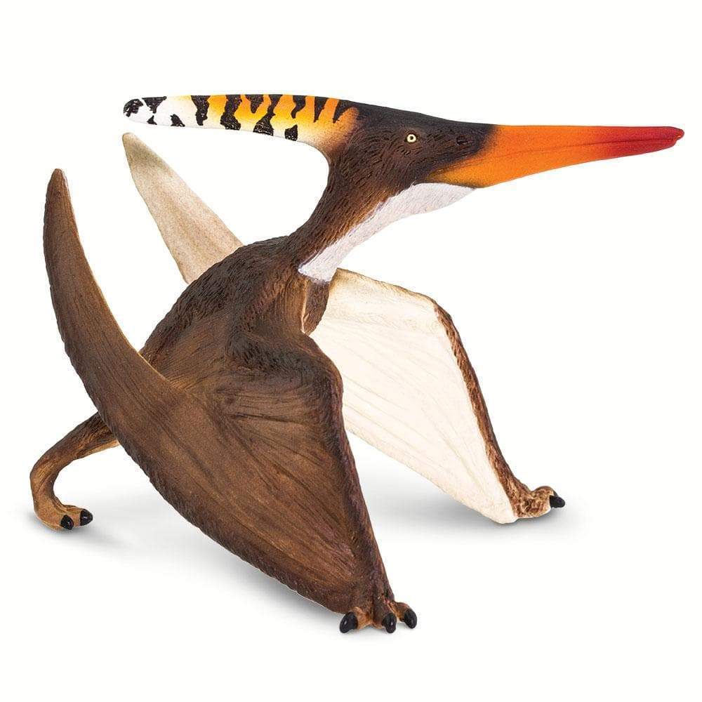 Pteranodon - Safari Ltd®