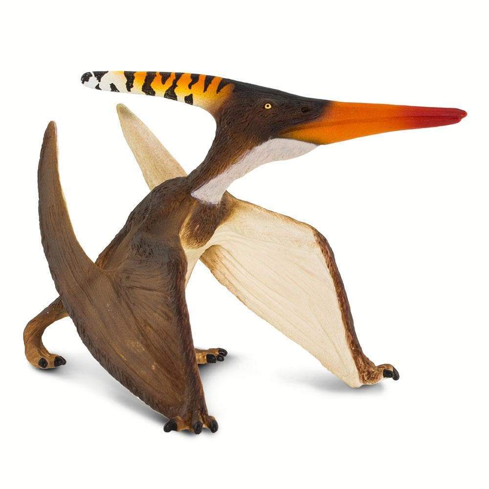 Pteranodon - Safari Ltd®