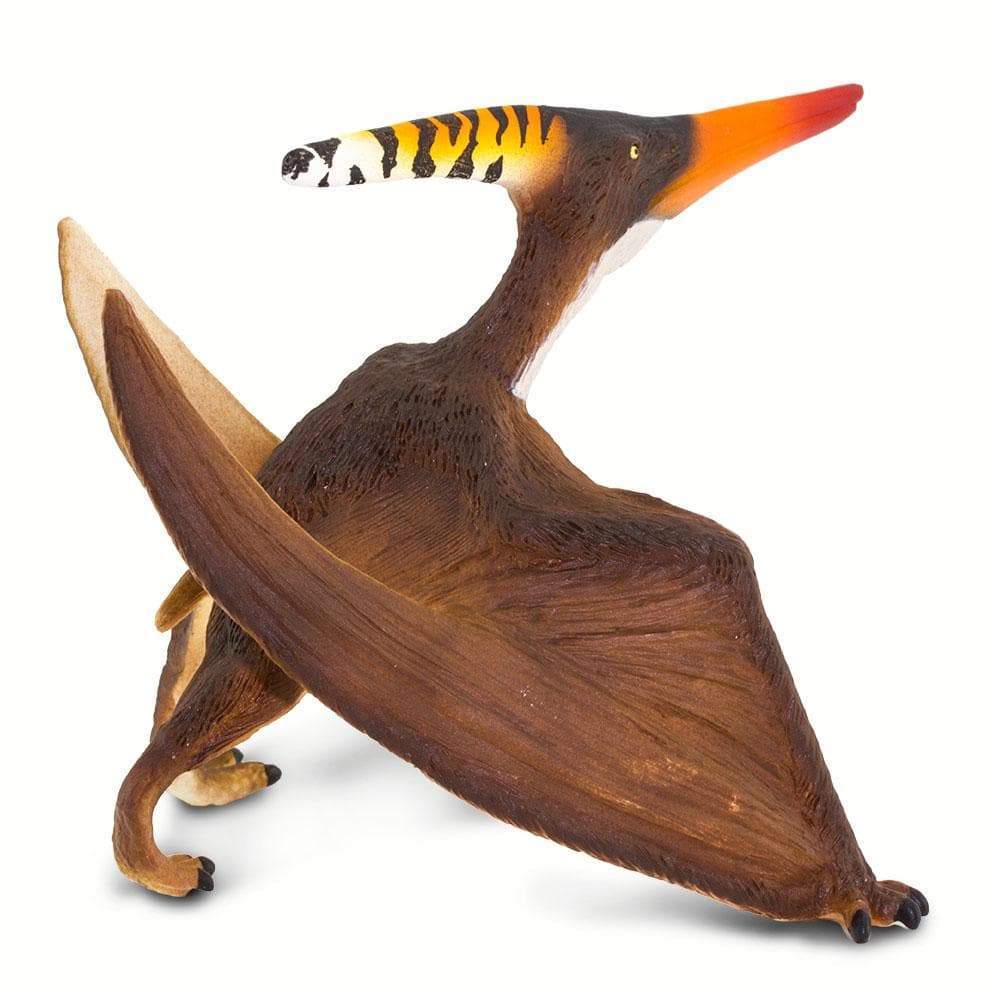 Pteranodon - Safari Ltd®