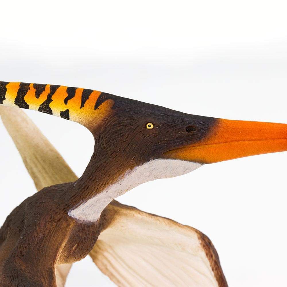 Pteranodon - Safari Ltd®