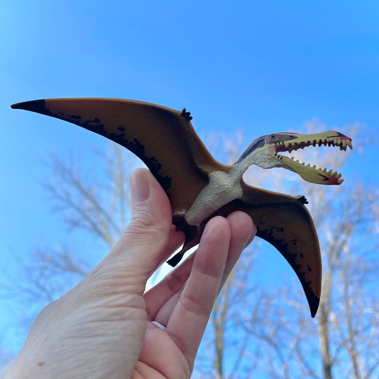 Pterosaur Toy - Safari Ltd®