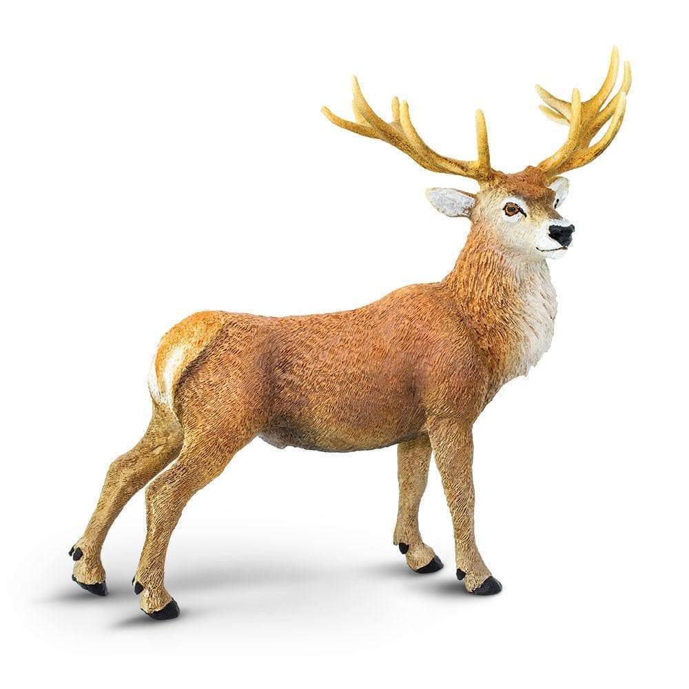 Red Deer Stag Toy | Wildlife Animal Toys | Safari Ltd.