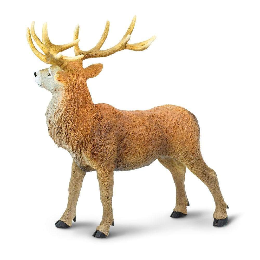 Red Deer Stag Toy | Wildlife Animal Toys | Safari Ltd.