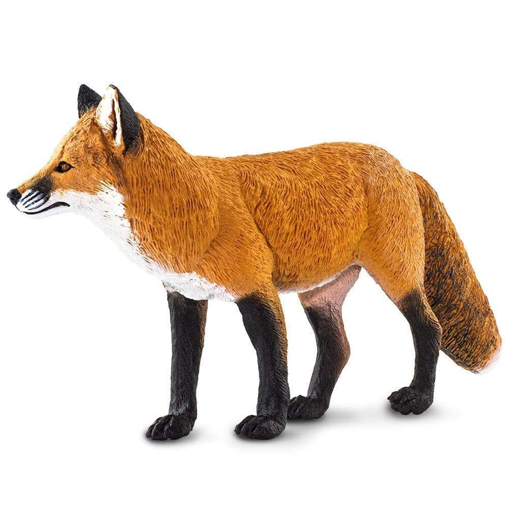 Red Fox - Safari Ltd®