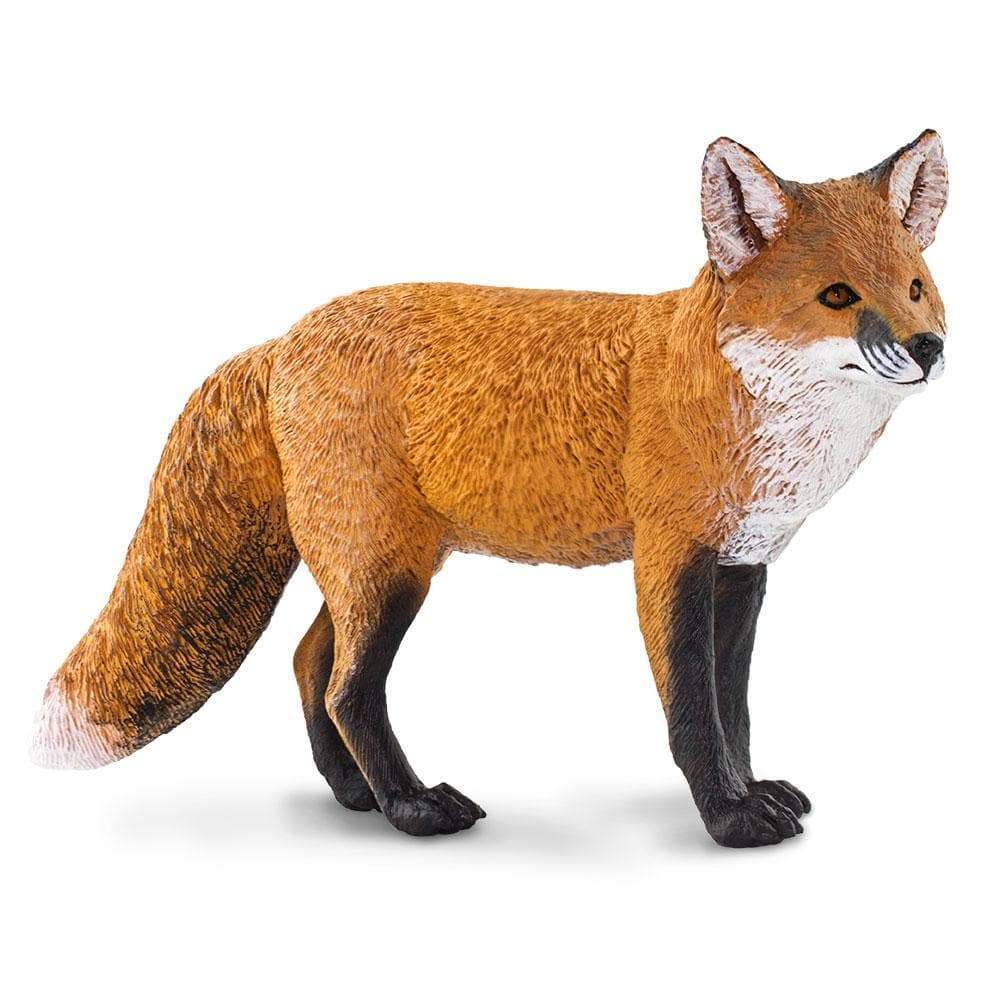 Red Fox - Safari Ltd®