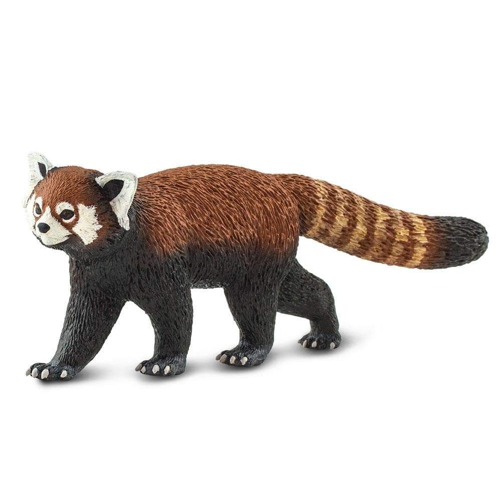 Red Panda - Safari Ltd®