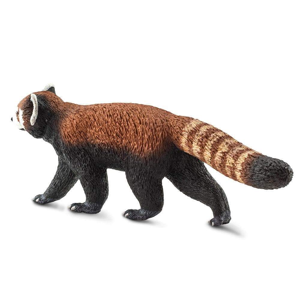 Red Panda - Safari Ltd®