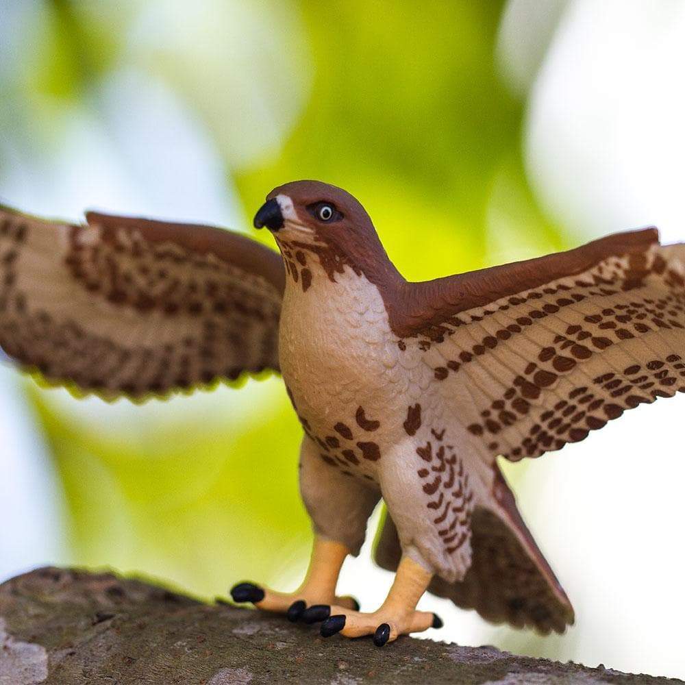 Red-Tailed Hawk Toy | Wildlife Animal Toys | Safari Ltd.