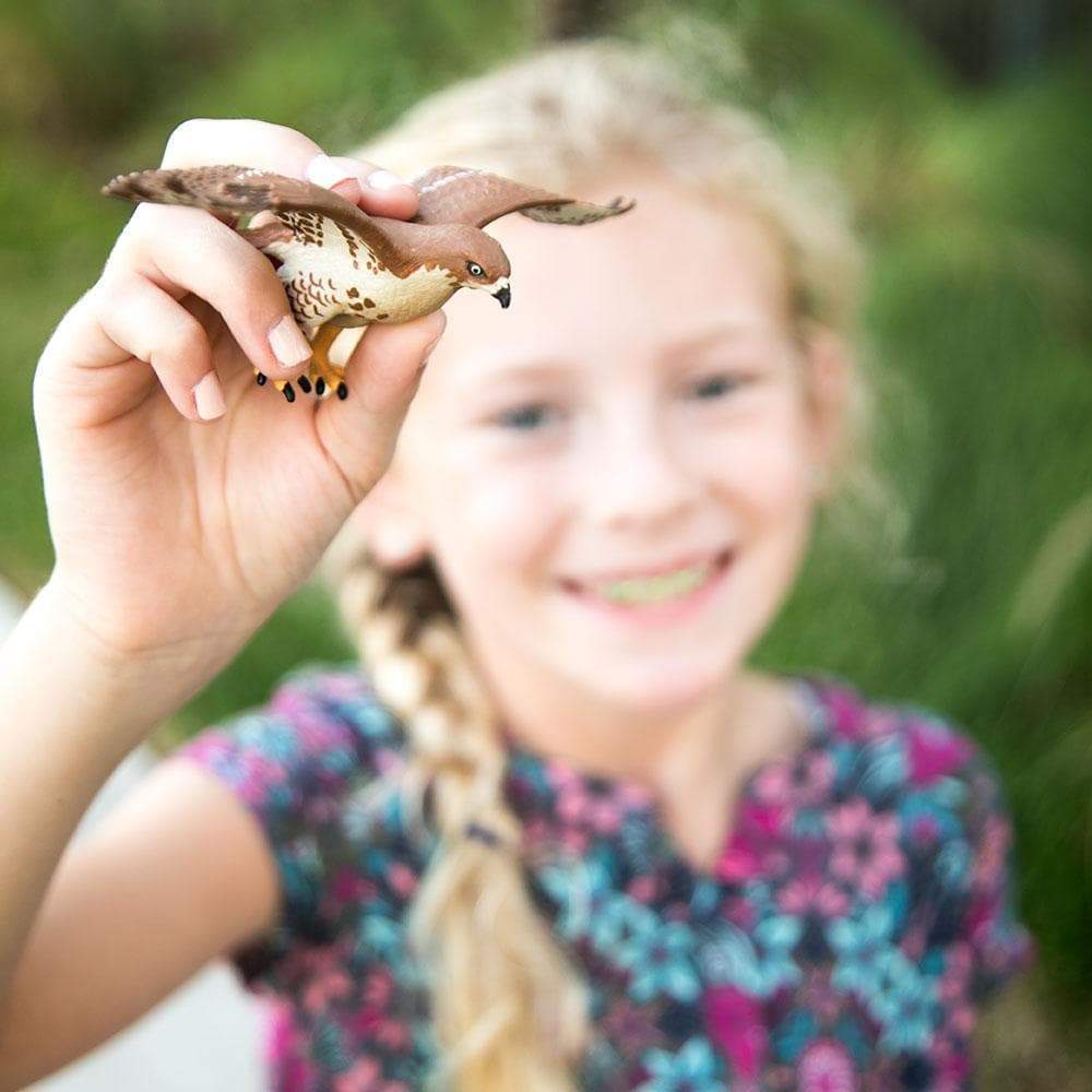 Red-Tailed Hawk Toy | Wildlife Animal Toys | Safari Ltd.