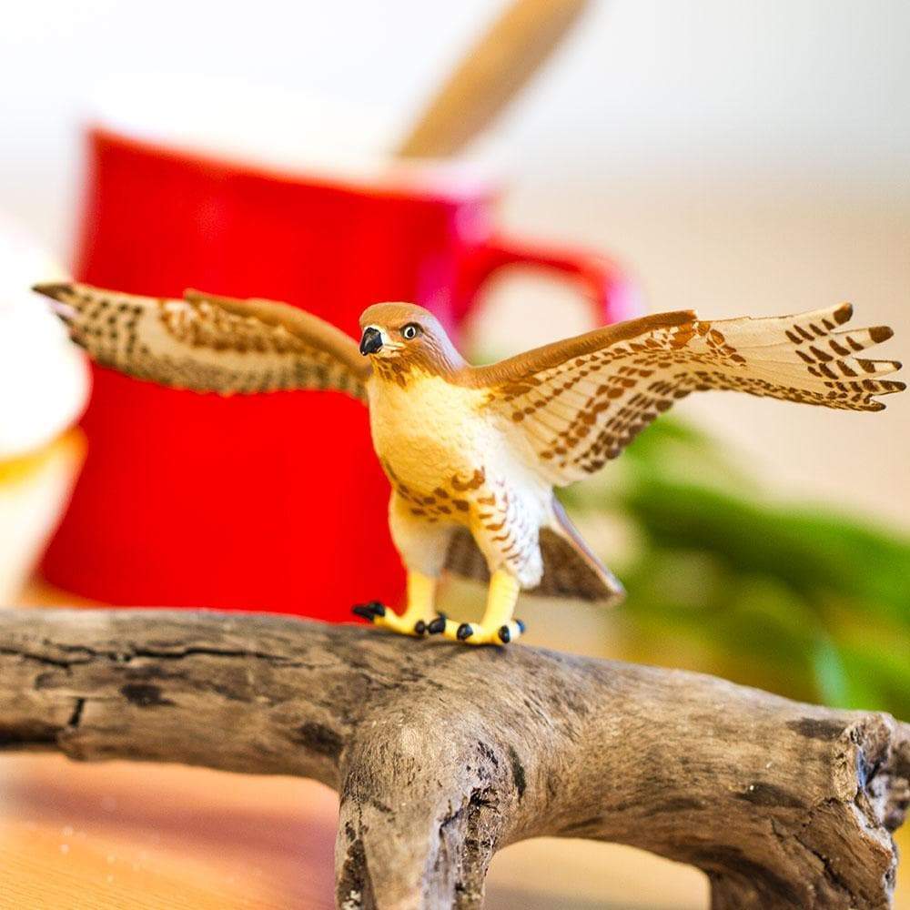 Red-Tailed Hawk Toy | Wildlife Animal Toys | Safari Ltd.