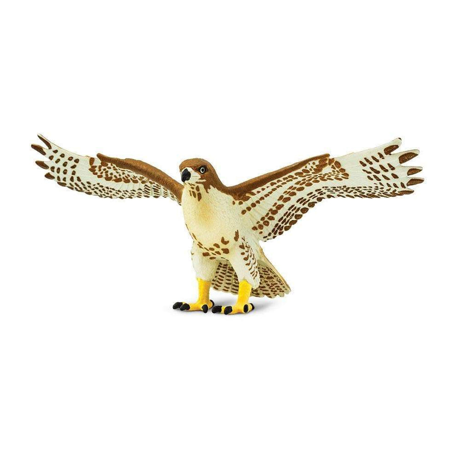 Red-Tailed Hawk - Safari Red-Tailed Hawk Toy | Wildlife Animal Toys | Safari Ltd.®