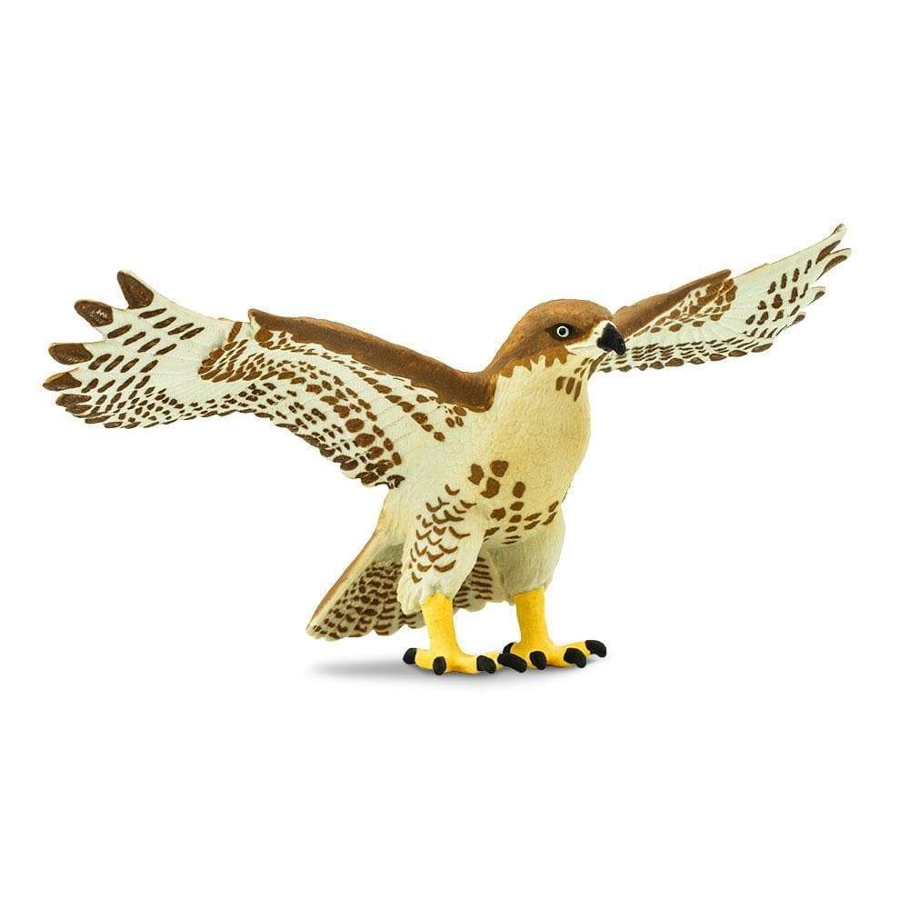 Red-Tailed Hawk Toy | Wildlife Animal Toys | Safari Ltd.