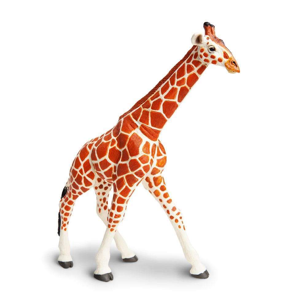 Reticulated Giraffe Toy | Montessori Toys | Safari Ltd.