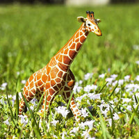 Reticulated Giraffe Toy | Montessori Toys | Safari Ltd.