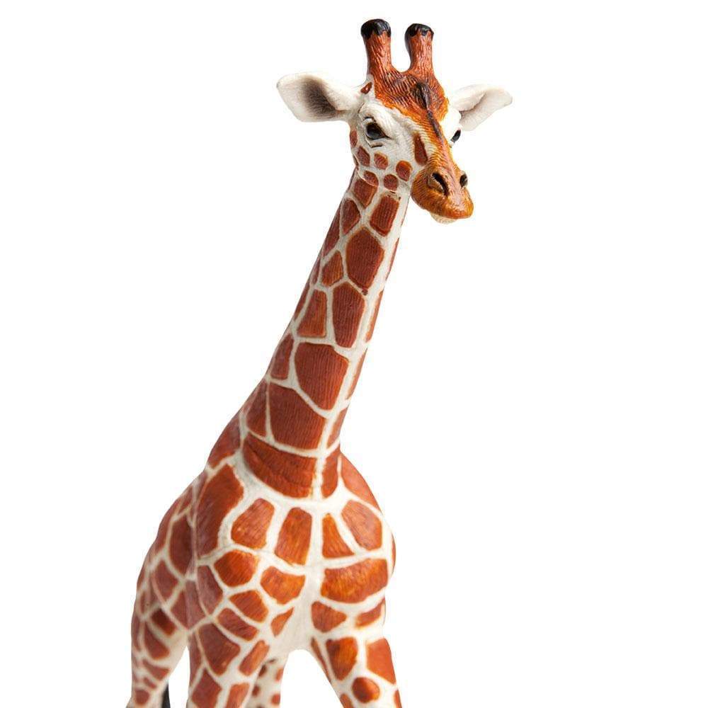 Reticulated Giraffe Toy | Montessori Toys | Safari Ltd.