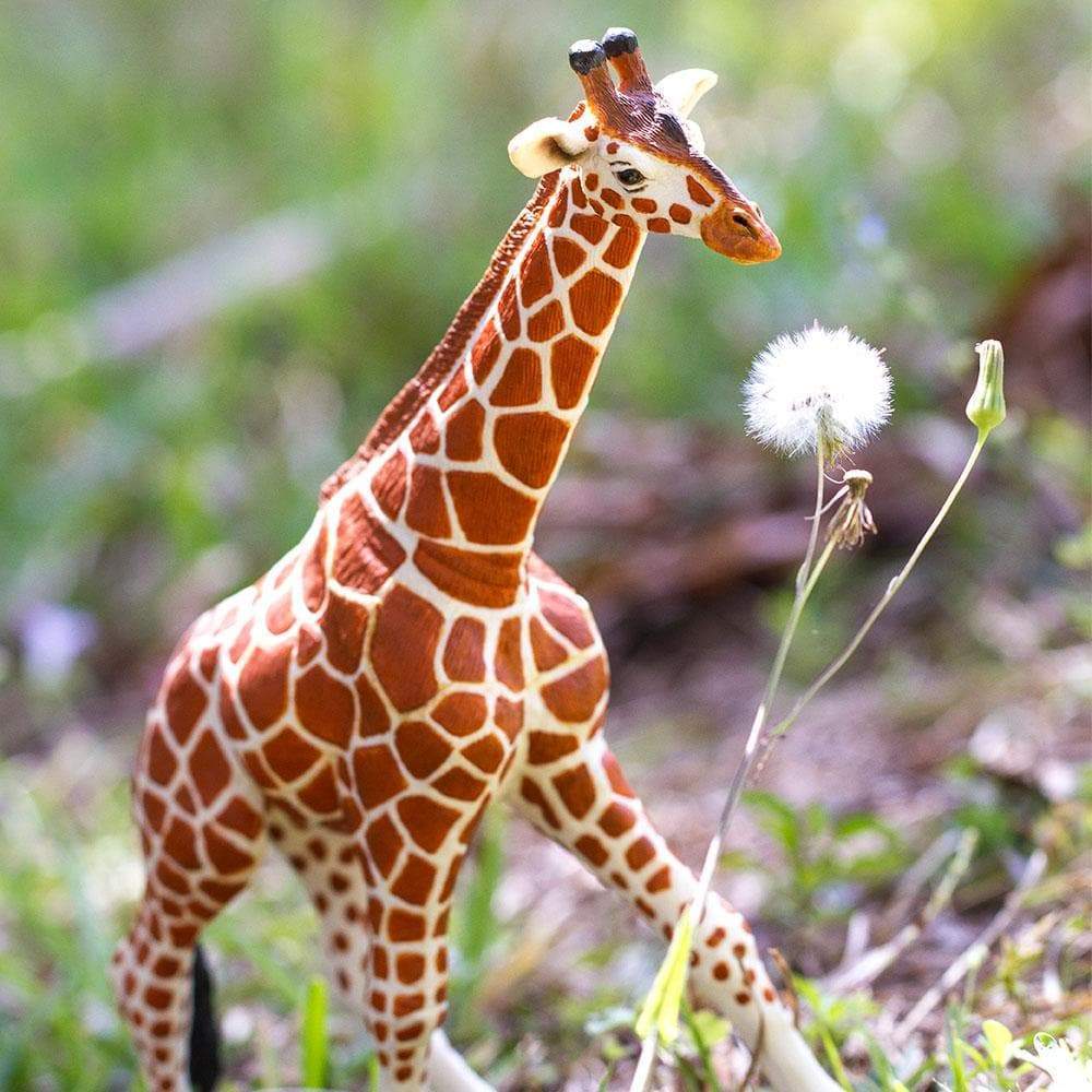 Reticulated Giraffe Toy | Montessori Toys | Safari Ltd.