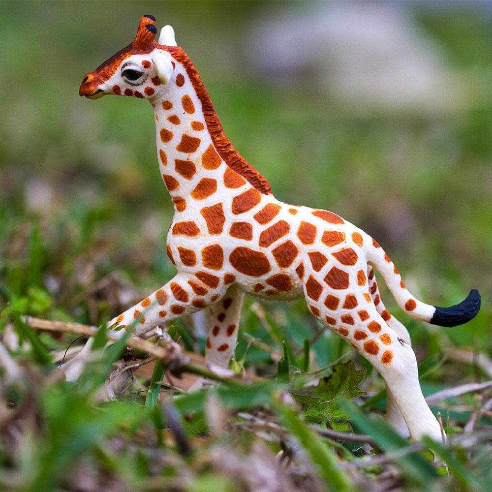 Reticulated Giraffe Baby Toy | Wildlife Animal Toys | Safari Ltd.