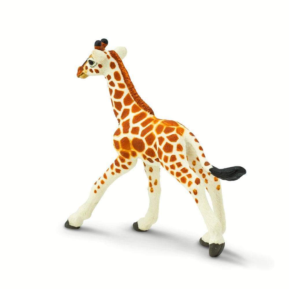 Reticulated Giraffe Baby Toy | Wildlife Animal Toys | Safari Ltd.