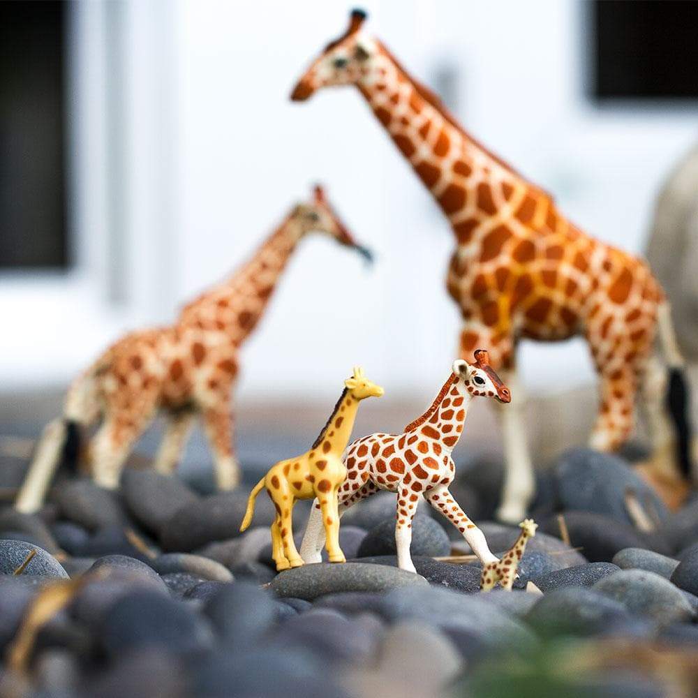 Reticulated Giraffe Baby Toy | Wildlife Animal Toys | Safari Ltd.