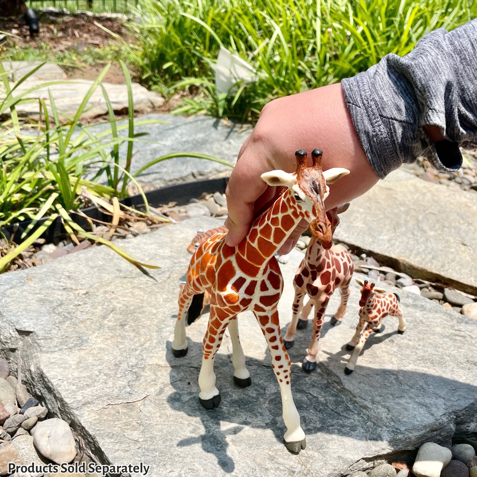 Reticulated Giraffe Toy - Safari Ltd®