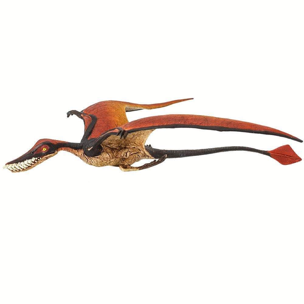 Rhamphorhynchus Toy | Dinosaur Toys | Safari Ltd.