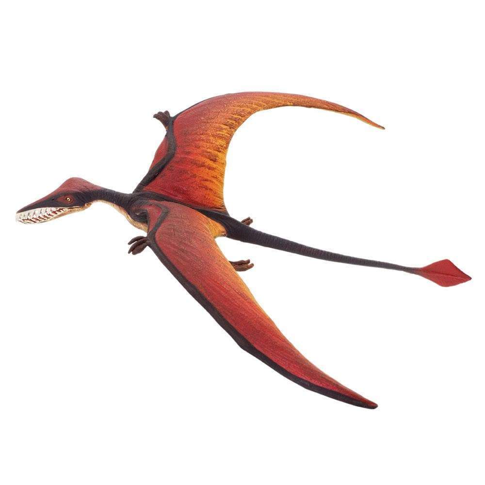 Rhamphorhynchus Toy | Dinosaur Toys | Safari Ltd.